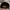 Supreme Streetwear Hat Pria black photo 3