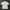 Evisu Streetwear Sportswear T-shirt Pria white photo 5