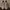 Nike Streetwear Sneakers Pria white photo 2