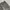 Carhartt Vintage Y2K Jeans Pria gray photo 6