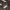 Fieldcore Streetwear Gorpcore Puffer jacket Pria black gray photo 4