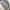 Charles and Keith Luxury Minimalist Shoulder bag Wanita cream photo 6