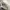 Charles and Keith Luxury Minimalist Shoulder bag Wanita cream photo 4
