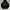 Buckaroo Grunge Emo Hoody Pria black photo 1