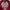 Grunge Goth Sweatshirt Pria burgundy photo 5