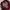 Grunge Goth Sweatshirt Pria burgundy photo 4