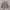 Urban Research Streetwear Gorpcore Puffer Jacket Pria Tan