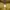 Urban Research Streetwear Gorpcore Puffer jacket Pria tan photo 5