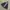 Gorpcore Sportswear Puffer jacket Wanita navy photo 1