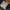 Polham Vintage Y2K Sweater Pria navy photo 4