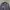 Mizuno Sportswear Windbreaker Pria black photo 3