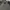 Nike Streetwear Skater Sweatshirt Pria gray photo 2