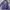 MLB Cosplay Track jacket Pria purple blue photo 1