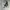 Grunge Goth Sweatshirt Pria white photo 6
