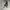 Grunge Goth Sweatshirt Pria white photo 2