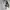Grunge Goth Sweatshirt Pria white photo 3