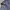 Biker Track jacket Pria blue photo 2