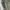 Gorpcore Casual Pria cream photo 6
