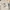 Shein Y2K Casual Sweatshirt Wanita cream photo 1