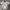 Umbro Vintage Y2K T-shirt Pria white photo 1