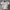 Umbro Vintage Y2K T-shirt Pria White