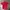 Nike Streetwear Casual Polo Shirt Pria Red Black