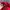 Beanpole Vintage Y2K Harrington jacket Pria red photo 4
