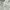 Yohji Yamamoto Luxury Sportswear Polo shirt Pria white photo 6
