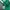 Canterbury Casual Polo shirt Pria green photo 5
