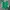Canterbury Casual Polo Shirt Pria Green