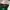 Canterbury Casual Polo shirt Pria green photo 6