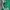 Canterbury Casual Polo shirt Pria green photo 4