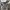 Shein Vintage Y2K Crop top Wanita white black photo 3