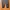 Nike Streetwear Sportswear Tracksuit Pria black photo 2