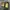 Luxury Pria green photo 1