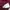 Adidas Casual Pria burgundy photo 4