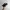 Adidas Sportswear Casual Casual shoe Pria white black photo 3