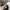 Adidas Sportswear Casual Casual shoe Pria white black photo 7