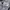Japanese brand Vintage Streetwear T-shirt Pria gray photo 4