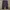 Y2K Pria gray photo 2