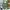Dior Luxury Handbag Wanita Green