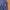 Asics Streetwear Sportswear Sweatpants & Joggers Pria navy photo 4