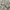 Versace Vintage Formal shirt Pria white tan photo 6