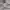 Ben Sherman Casual Polo shirt Pria gray photo 6