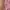 Streetwear Sportswear Tracksuit Pria pink photo 8
