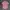 Polham Casual Kemeja Kids pink photo 1