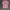 Polham Casual Kemeja Kids Pink