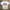 Gildan Vintage Y2K T-shirt Pria White