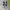 Sportswear Sneakers Wanita multicolor photo 3