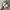 Sportswear Sneakers Wanita multicolor photo 5